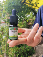 RAW CBD Oil in Hemp Seed Oil - Image 3