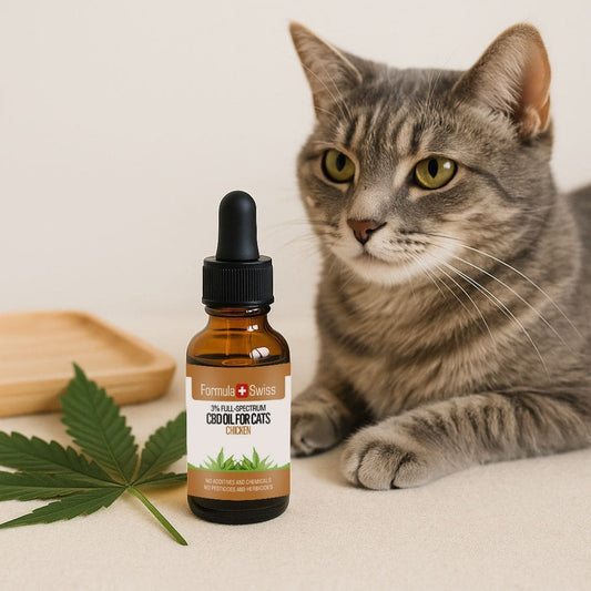 CBD olej v MCT oleji s kuřecí vůní pro kočky